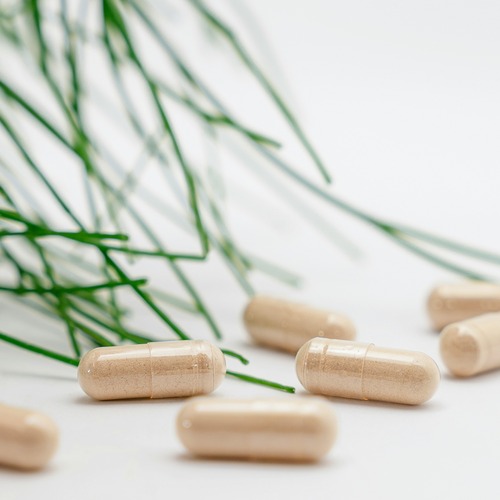 omoiopathitika-product-image-500x500 Ομοιοπαθητικά Σκευάσματα (κάψουλες) - Image 1